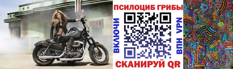магазин продажи Краснообск сайты даркнета телеграм Псилоцибиновые грибы мухоморы